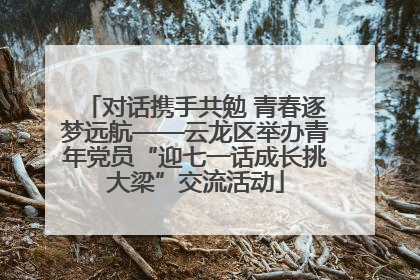 对话携手共勉 青春逐梦远航——云龙区举办青年党员“迎七一话成长挑大梁”交流活动