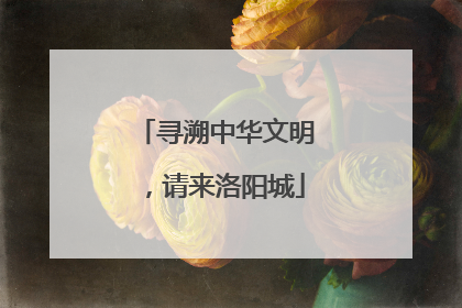 寻溯中华文明，请来洛阳城