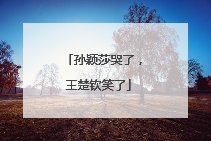 孙颖莎哭了，王楚钦笑了