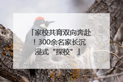 家校共育双向奔赴！300余名家长沉浸式“探校”