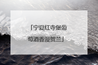 宁夏红寺堡葡萄酒香漫贺兰