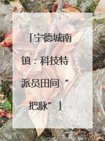 宁德城南镇：科技特派员田间“把脉”