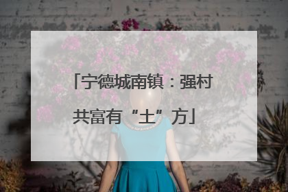 宁德城南镇：强村共富有“土”方