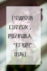 宁波空港口岸首次，四足机器人“打飞的”出海