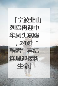 宁波韭山列岛再迎中华凤头燕鸥，24对“酷鸥”喜结连理迎接新生命