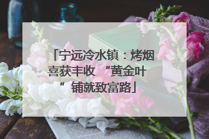 宁远冷水镇：烤烟喜获丰收 “黄金叶”铺就致富路