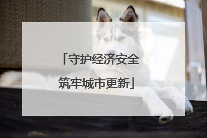 守护经济安全 筑牢城市更新