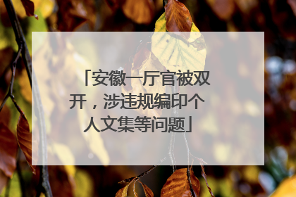 安徽一厅官被双开，涉违规编印个人文集等问题