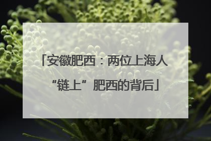 安徽肥西：两位上海人“链上”肥西的背后