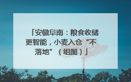 安徽阜南：粮食收储更智能，小麦入仓“不落地”（组图）