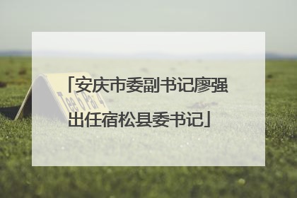 安庆市委副书记廖强出任宿松县委书记