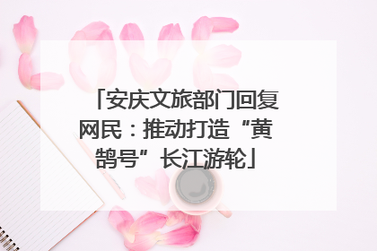 安庆文旅部门回复网民：推动打造“黄鹄号”长江游轮