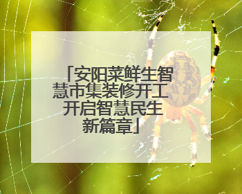 安阳菜鲜生智慧市集装修开工 开启智慧民生新篇章
