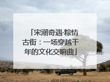 宋潮奇遇·粽情古街：一场穿越千年的文化交响曲