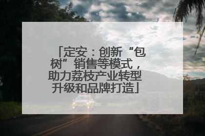 定安：创新“包树”销售等模式，助力荔枝产业转型升级和品牌打造