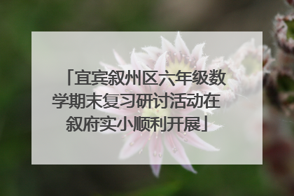 宜宾叙州区六年级数学期末复习研讨活动在叙府实小顺利开展
