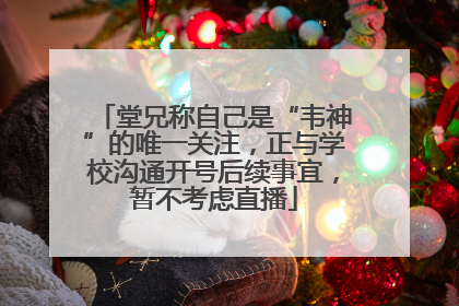 堂兄称自己是“韦神”的唯一关注，正与学校沟通开号后续事宜，暂不考虑直播