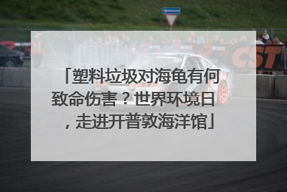 塑料垃圾对海龟有何致命伤害？世界环境日，走进开普敦海洋馆