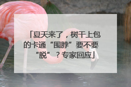 夏天来了，树干上包的卡通“围脖”要不要“脱”？专家回应