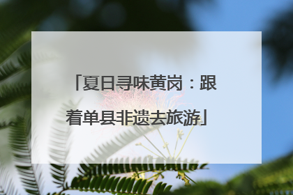 夏日寻味黄岗：跟着单县非遗去旅游