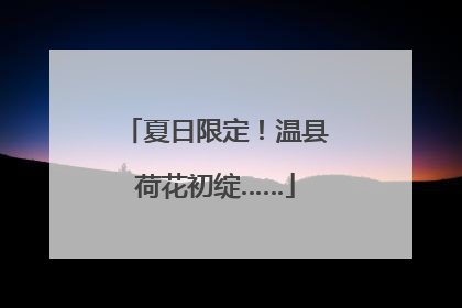 夏日限定！温县荷花初绽……