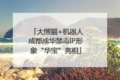 大熊猫+机器人 成都成华禁毒IP形象“华宝”亮相