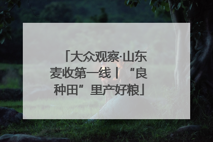 大众观察·山东麦收第一线丨“良种田”里产好粮