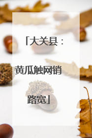 大关县：黄瓜触网销路宽