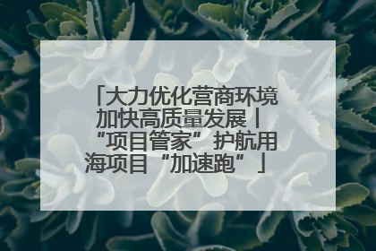 大力优化营商环境 加快高质量发展丨“项目管家”护航用海项目“加速跑”