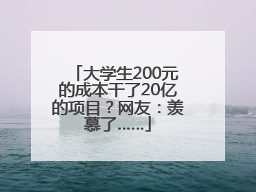 大学生200元的成本干了20亿的项目？网友：羡慕了……