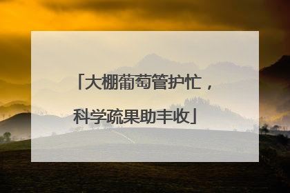 大棚葡萄管护忙，科学疏果助丰收