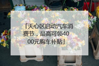 天心区启动汽车消费节，最高可领4000元购车补贴