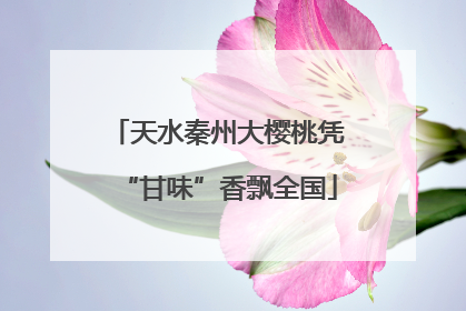 天水秦州大樱桃凭“甘味”香飘全国