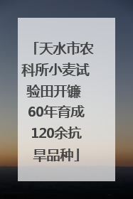 天水市农科所小麦试验田开镰 60年育成120余抗旱品种