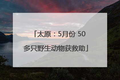 太原：5月份 50多只野生动物获救助