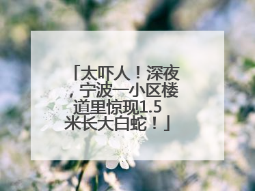 太吓人！深夜，宁波一小区楼道里惊现1.5米长大白蛇！