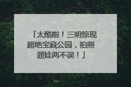 太酷啦！三明惊现超绝宝藏公园，拍照遛娃两不误！
