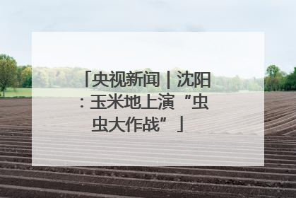 央视新闻｜沈阳：玉米地上演“虫虫大作战”