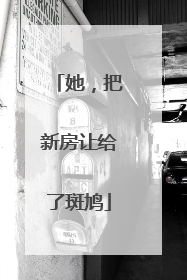 她，把新房让给了斑鸠