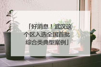 好消息！武汉这个区入选全国首批综合类典型案例