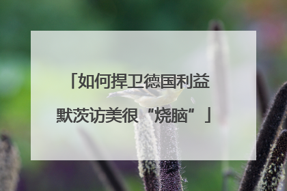 如何捍卫德国利益 默茨访美很“烧脑”