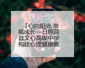 心向阳光 幸福成长—日照莒县文心高级中学构建心理健康教育体系掠影