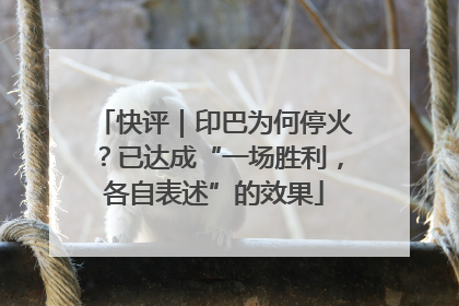 快评｜印巴为何停火？已达成“一场胜利，各自表述”的效果