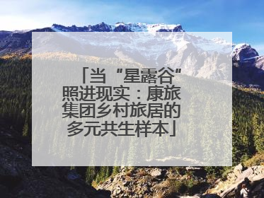 当“星露谷”照进现实：康旅集团乡村旅居的多元共生样本
