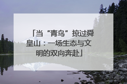 当“青鸟”掠过舜皇山：一场生态与文明的双向奔赴