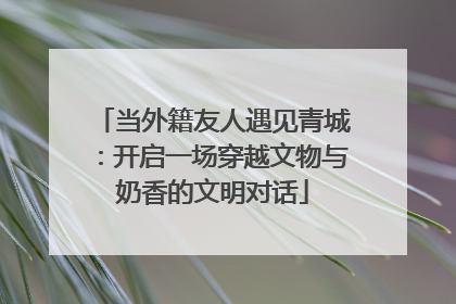 当外籍友人遇见青城：开启一场穿越文物与奶香的文明对话