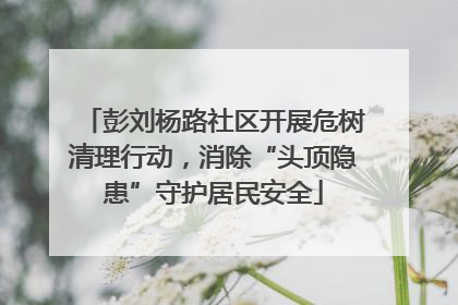 彭刘杨路社区开展危树清理行动，消除“头顶隐患”守护居民安全