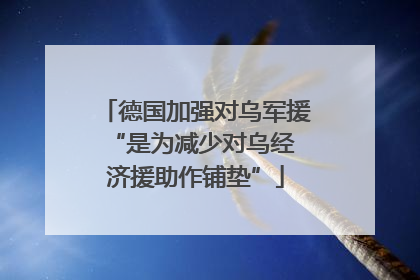 德国加强对乌军援 “是为减少对乌经济援助作铺垫”