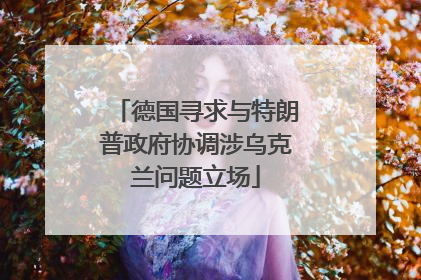 德国寻求与特朗普政府协调涉乌克兰问题立场