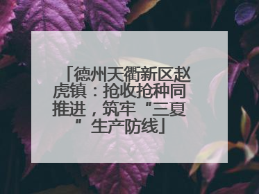 德州天衢新区赵虎镇：抢收抢种同推进，筑牢“三夏”生产防线